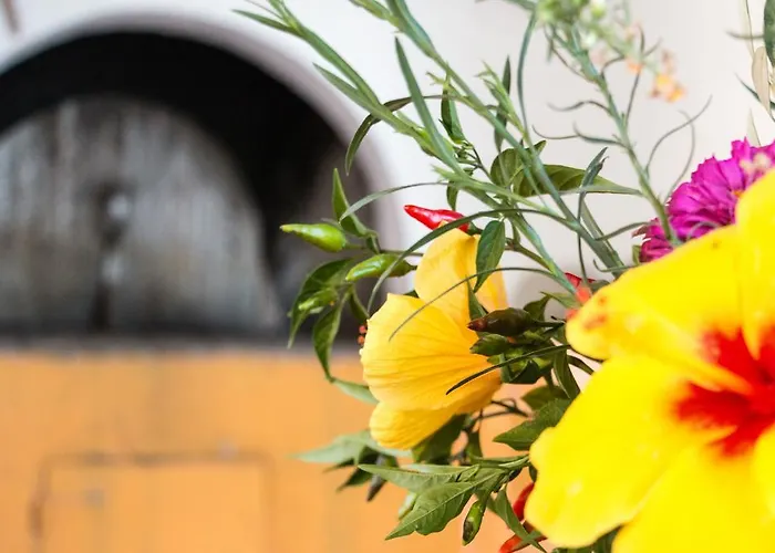 Appart hôtel Miltiadis 2*