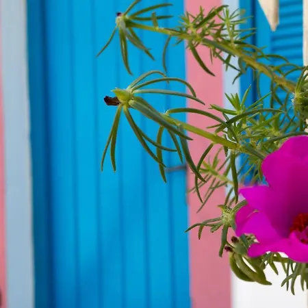 Aparthotel Miltiadis 2*