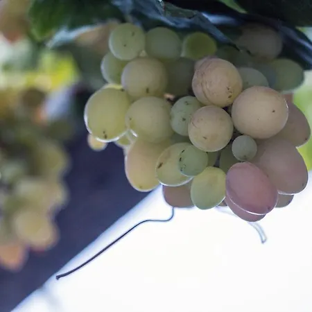 Miltiadis Aparthotel