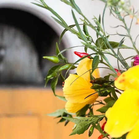 Aparthotel Miltiadis 2*