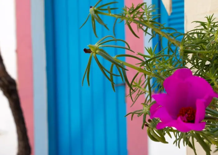 Aparthotel Miltiadis 2*