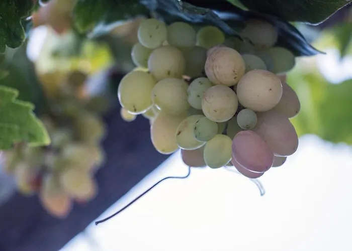 Miltiadis Aparthotel